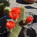 펜션 Absolute Peace North By The Volcanic Slopes