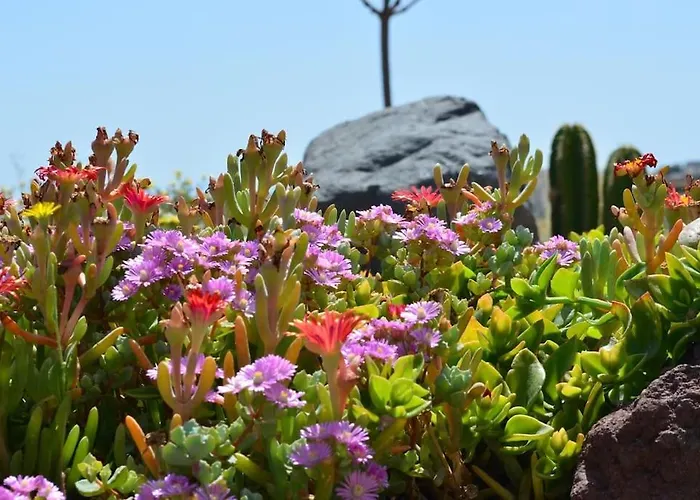 Absolute Peace North By The Volcanic Slopes * Imerovigli (Santorini)