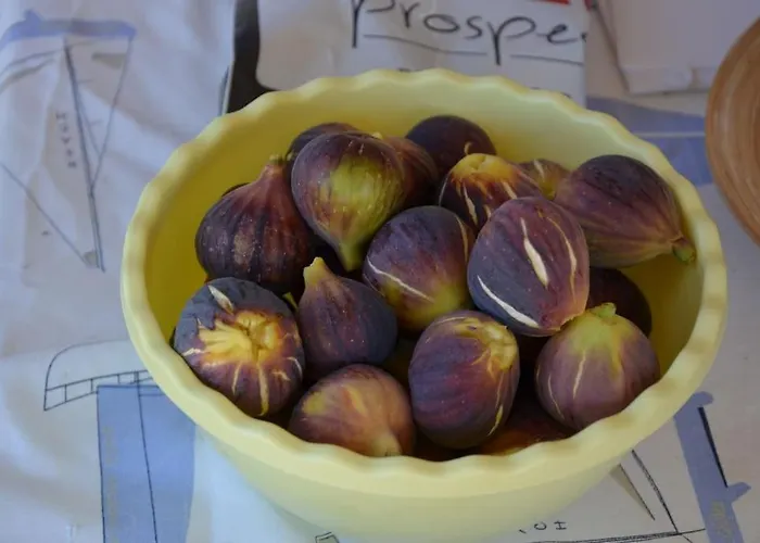 Absolute Peace North By The Volcanic Slopes Feriehus