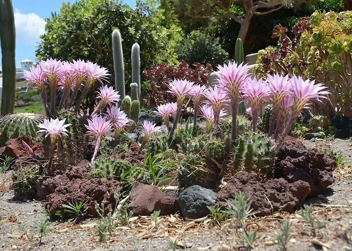 Absolute Peace North By The Volcanic Slopes