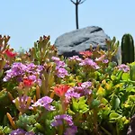 Absolute Peace North By The Volcanic Slopes * Imerovigli (Santorini)