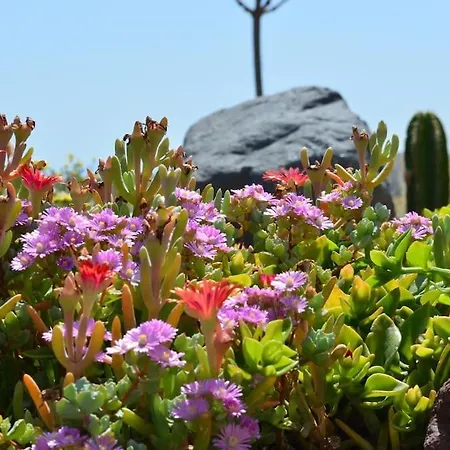 Absolute Peace North By The Volcanic Slopes * Imerovigli (Santorini)