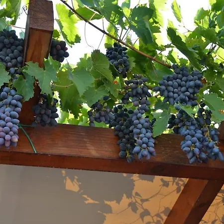 Casa vacanze Absolute Peace North By The Volcanic Slopes Imerovigli (Santorini)