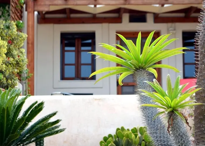 Absolute Peace North By The Volcanic Slopes