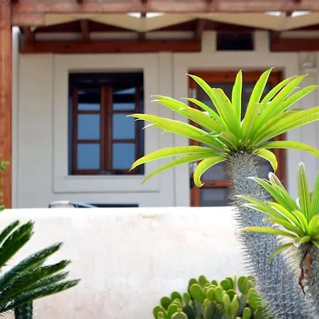 Absolute Peace North By The Volcanic Slopes