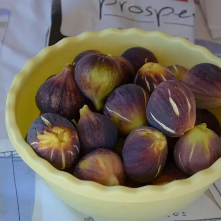 Absolute Peace North By The Volcanic Slopes 펜션