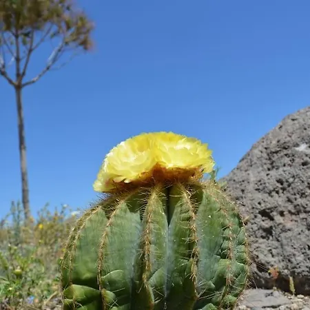 Absolute Peace North By The Volcanic Slopes