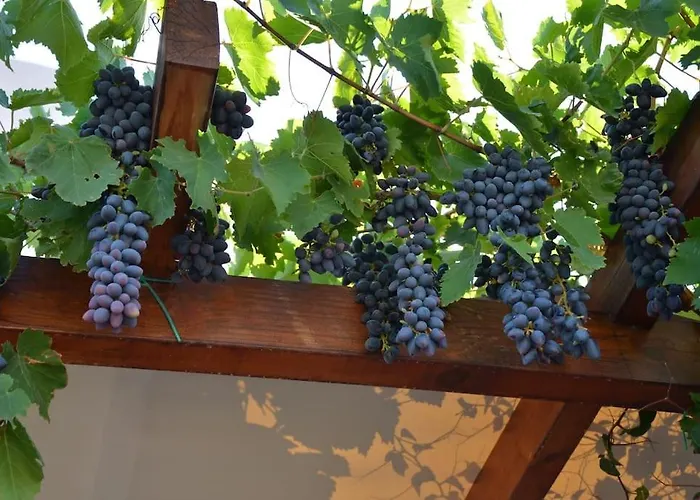 Semesterbostad Absolute Peace North By The Volcanic Slopes Imerovigli (Santorini)